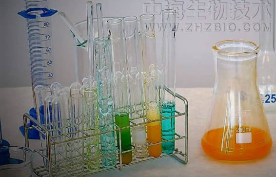 淺談培養(yǎng)基保存放置需注意四個方面?