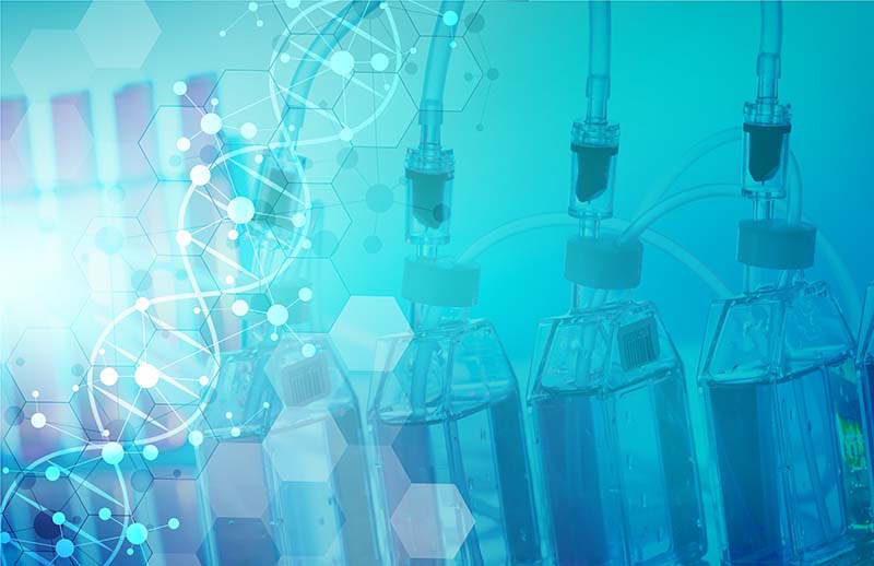 什么是培養(yǎng)基？培養(yǎng)基分為哪三大類？